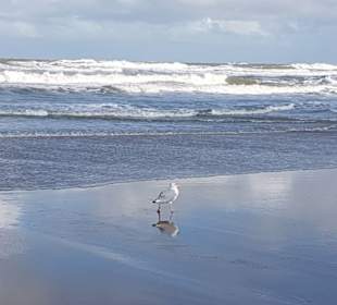 Strandpromenade Blankenberge 