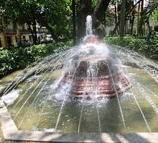 Grünes Kleinod in der Altstadt