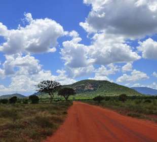 Tsavo East