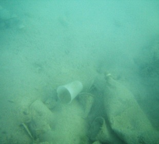 Entdeckungen in der Bucht von Boca Chica