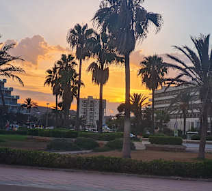 Stadtrundgang Cala Millor