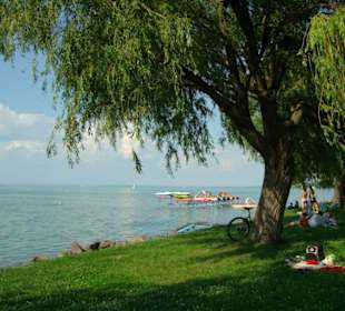 Wiese am Balaton