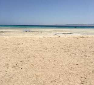 Ras Hankorab