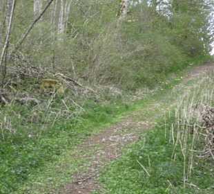 Wanderweg Hochgehswiggert