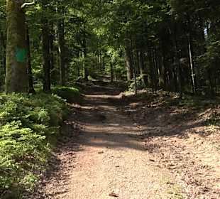 Teufelskanzelsteig Bad Griesbach