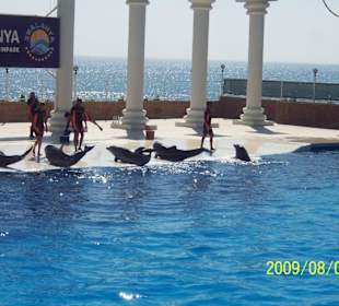 Delphinarium