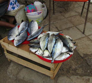 Fischverkauf am Markt 