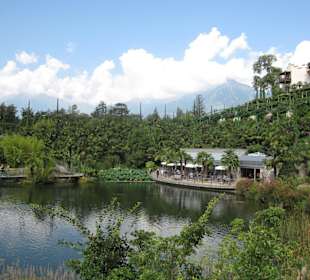 Blick auf den Seerosenteich