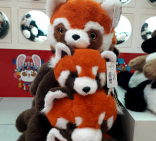 Dubai Mall China Town