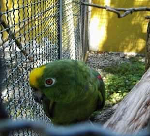 Vogelpark Olching