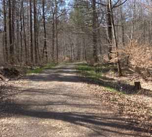 Waldkulturerbe Neuweiler Viehweide