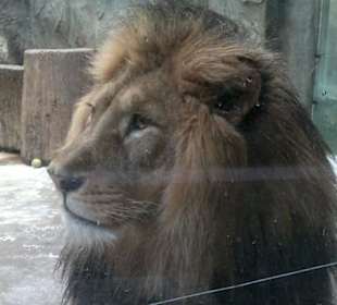 Zoo Olomouc