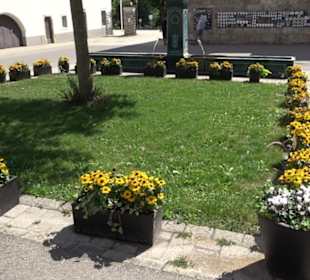 Haupt- und Landgestüt Marbach