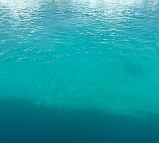 Delphin Tour 