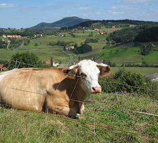 Im Hintergrund die Gleichenberger Kogeln