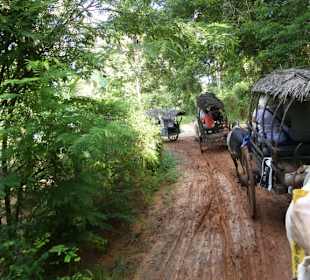 Die Wege waren vom nächtlichen Regen sehr matschig