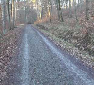 Wanderung rund um den Ochsenweiher
