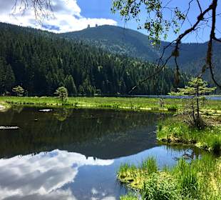 Kleiner Arbersee