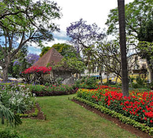 Impressionen aus dem Stadtpark von Funchal