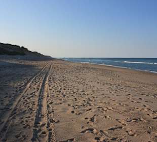 Strand an der Ostküste von Cape Cod