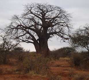 Tsavo West Nationalpark