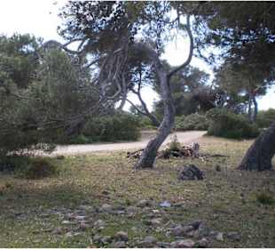 Wälder des Naturschutzgebietes