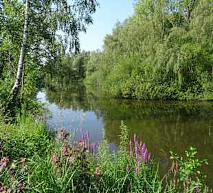 Tour durch den sommerlichen Park Links der Weser