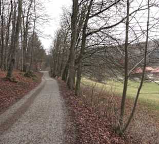 Wildpark Eichert