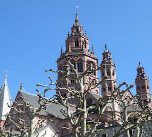 Blick zum Mainzer Dom