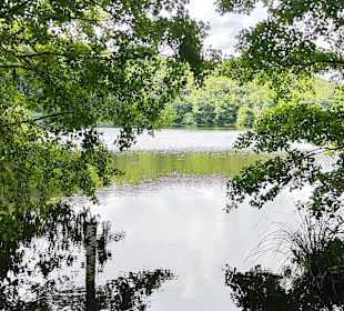 Nationalpark Jasmund 