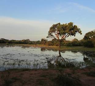 Yala-Nationalpark