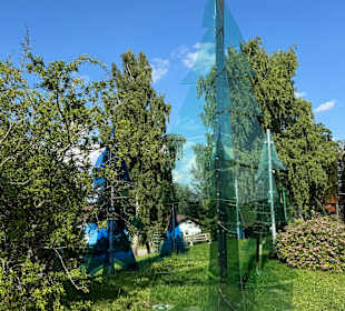 Gläserner Wald