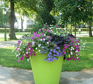 Wünderschön bepflanztes Blumenkübel im Park