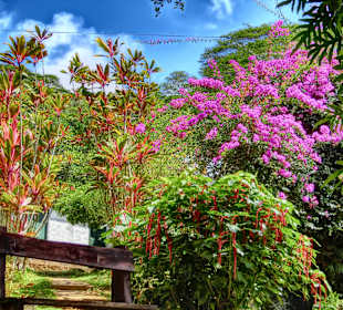 Jardin de Roi / Garten des Königs