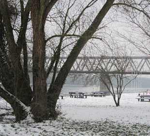 Am Rhein im Winter