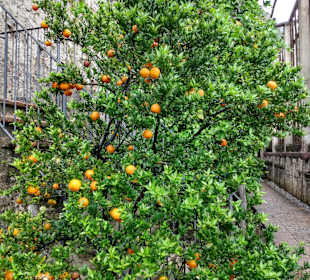 Wandern Limone