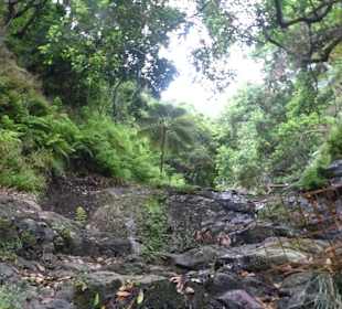 An der Levada do Costelejo