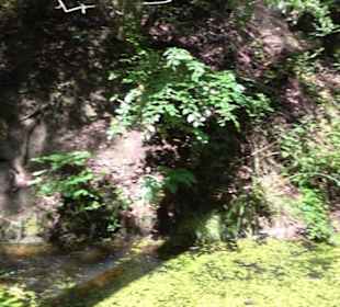 Wanderweg Märchensee Runde