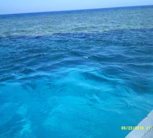 Ein unvergessliche Tag mit der Sonnenfee