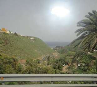 Im Naturpark Los Tilos de Moya