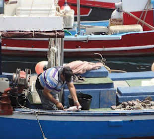 Hafen Puerto de Mogán