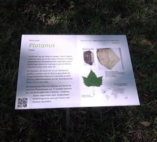 Botanischer Garten München