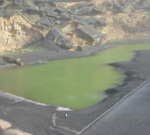 Lagune - keine Algen