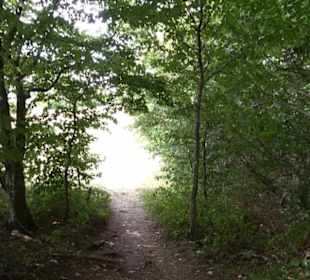 Hochgeträumt Premiumwanderung