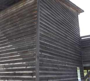 Federseesteg Bad Buchau
