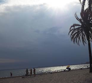 Vue plage roses