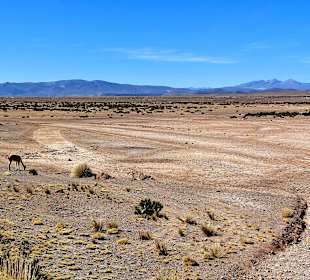 Mirador de los volcanes