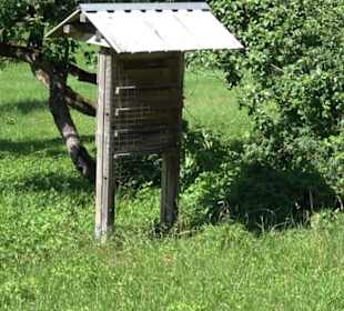 Eduard Lucas Musterobstgarten Mähringen