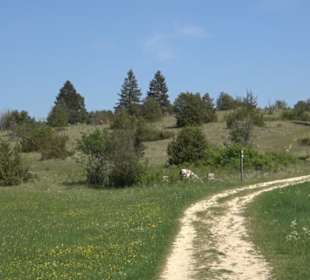 Premiumwanderweg Hochgehschätzt