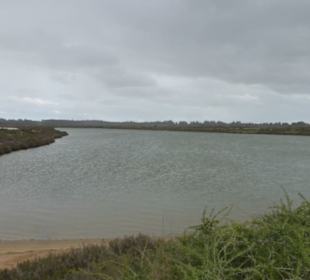 Parque Natural da Ria Formosa bei den Salinen